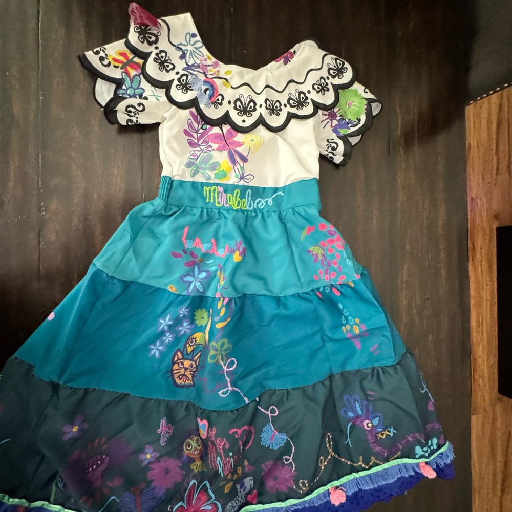 Disney Blue and Cream Halloween Costume with Floral Embellishments